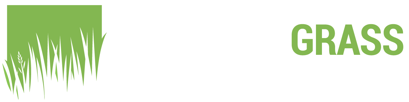 artificial turf & fake grass specialist