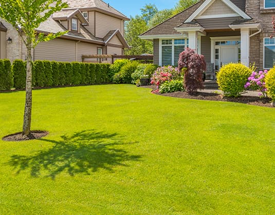 artificial turf & fake grass specialist